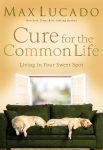 book_Cure for Common Life